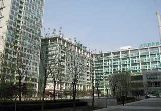 义乌网站建设寿光网站建设
